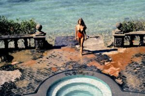 Terri Welles Playboy Playmate December 1980 - #36